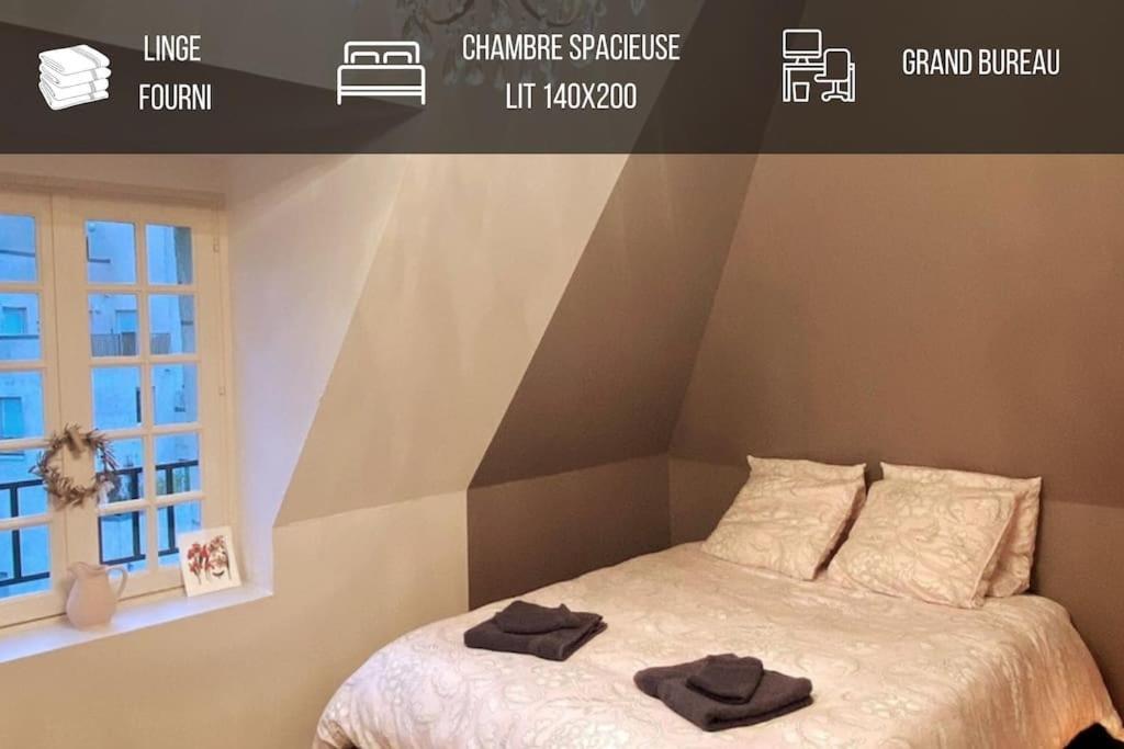 Grand Appartement Place Saint-Pierre, Proche Chateau De Saumur Et Bord De Loire" Экстерьер фото